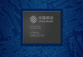 C217G芯片